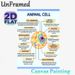 Animal Cell Diagram Painting Poster, Clear Labeled Scientific Illustration Poster, Informative Guide To Learn Animal Cell Structures, Ideal For Study_maomaolike.com
