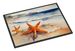Starfish Doormat Front Door Mat Indoor Outdoor Rugs For Entryway, Non Slip Washable Low Pile, 24H X 36W_maomaolike.com