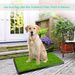 25"×20" Dog Toilet Indoor Puppy Training Pad, Dog Potty Pet Training Grass Mat, Removable Waste Tray For Easier Clean Up, Artificial Turf_maomaolike.com