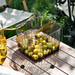 Outdoor Picnic Large Transparent Handheld Multifunctional Bath Desktop Snack Dried Fruit Storage Basket_maomaolike.com