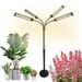 LED Plant Growth Lamp 12V Fill Light Dimming Timing Lifting Full Spectrum Seedling Green Plant Sunlight_maomaolike.com