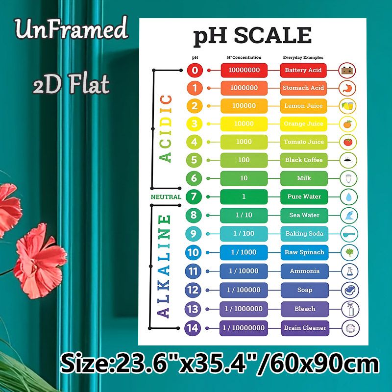 pH Scale Painting Poster, Vibrant Infographic Style Poster, Informative Guide Displaying Acidic & Alkaline Substances With PH Values, Suitable For_maomaolike.com