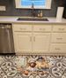Chesapeake Bay Retriever The Chef Memory Foam Kitchen Mat Machine Washable Anti-Fatigue Mat Cushion Comfort Bath Mat Or Kitchen Rug_maomaolike.com