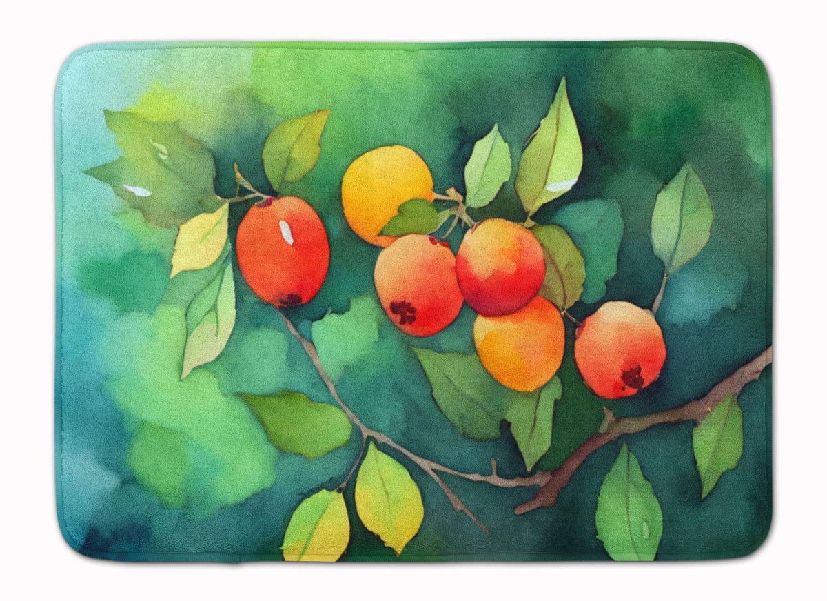 Missouri Hawthorns In Watercolor Memory Foam Kitchen Mat Machine Washable Anti-Fatigue Mat Cushion Comfort Bath Mat Or Kitchen Rug_maomaolike.com