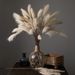 Reed Pampas Artificial Flowers Fake Flowers And Green Plants Wholesale Wedding Cross-border Decorations MW85502_maomaolike.com