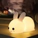 Colorful Rabbit Silicone Night Light Led Cute Charging Jade Rabbit Shooting Light_maomaolike.com