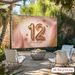 12th Birthday Party Backdrop - 2D Flat Polyester Wall Hanging With Glitter Shine Bright Text, Pink Golden Sparkles, Photo Props_maomaolike.com