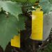 10-20PCS Catcher Boards With Windproof Hook Orchard Greenhouse Strong Adhesive Sticky Traps Bugs Flying Insect Sticker_maomaolike.com