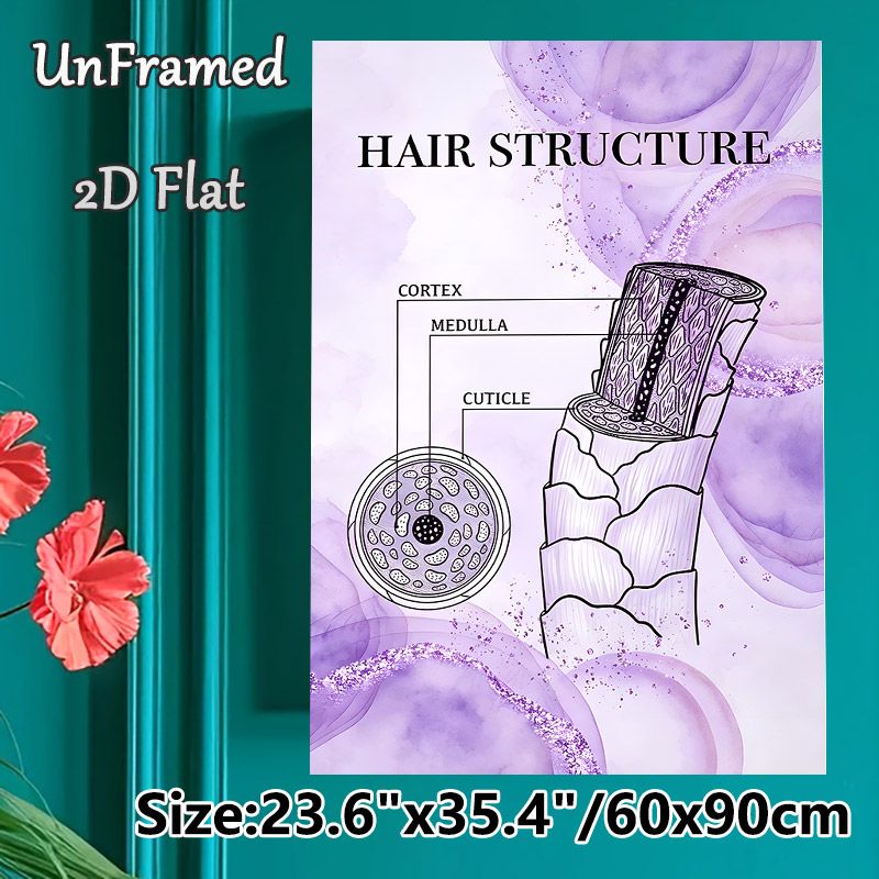 Hair Structure Painting Poster, Soft Lavender Watercolor Anatomical Chart Poster, Educational Hair Anatomy Display Suitable For Beauty Salons And_maomaolike.com