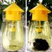 Plastic Drosophila Anti Fruit Killer Catcher Orchard Insect Pest Control Fly Bee Trap_maomaolike.com