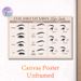 Eyelash Extension Style Guide Painting Poster, Clean Illustrative Lash Guide Poster, Comprehensive Reference Of Lash Shapes, Applications & Curls_maomaolike.com