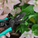 CPAI Gardening Shears Pruning Garden Special Tool Fresh Flower Scissors_maomaolike.com