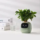 Garden Pots & Planters_maomaolike