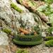 Natural Mountain Fir Series Flameless Aromatherapy Set Diffuser Stone Home Decor Valentine's Day Christmas Gift_maomaolike.com