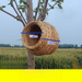 Bird Bird's Straw Eaves Outdoor Winter Warm Indoor Sleeping Hanging Swallow Artificial Nest_maomaolike.com