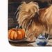 Tibetan Spaniel Fall Kitchen Pumpkins Memory Foam Kitchen Mat Machine Washable Anti-Fatigue Mat Cushion Comfort Bath Mat Or Kitchen Rug_maomaolike.com