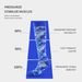 Socks outdoor sports leggings pressure socks camouflage striped compression socks casual sports mid-calf socks factory direct sales_maomaolike.com