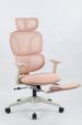 Ergonomic Office Chair With Footrest, High Back Computer Office Chair With Dynamic Lumbar Support, 2D Headrest, 2D Armrest, Sponge Seat, Mesh Home Office Desk Chair For Adults, Pink_maomaolike.com