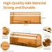 1Pc Mouse No Kill Animal Pet Control Cage Reusable Mice Rodent Catcher Rat Trap_maomaolike.com