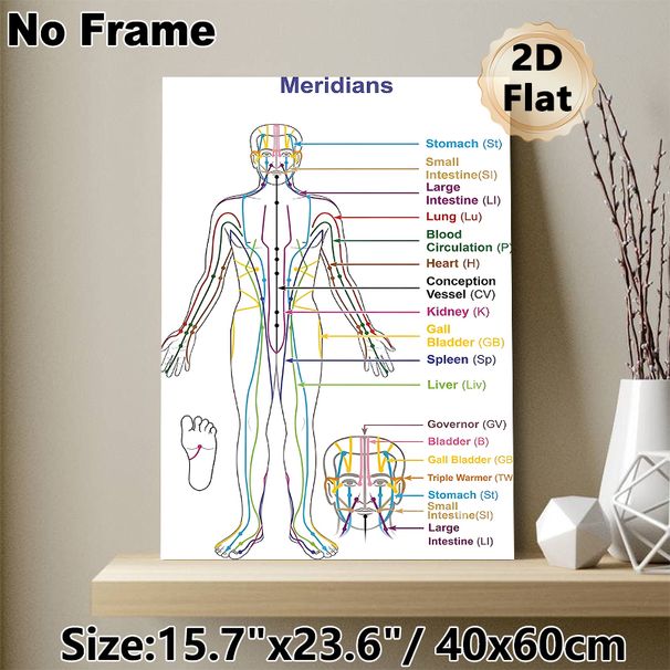 Meridian Chart Painting Poster, Clear Color-coded Human Meridian Map Poster, Informative Reference For Traditional Chinese Medicine Learning, Suitable_maomaolike.com