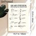 Grasp Patterns Developmental Milestones Painting Poster, Minimalist Line-art Informative Poster, Detailed Grasp Progression Reference, Ideal For_maomaolike.com