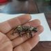 Brass Saber-Toothed Small Copperware Paperweight Desk Ornament Antique Bronze Tea Pet Solid Tiger Handheld Piece Decoration_maomaolike.com