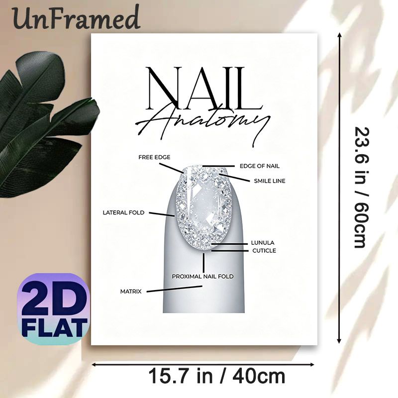 Nail Anatomy Painting Poster, Sleek Clear Nail Structure Diagram Poster, Informative Nail Anatomy Guide Ideal For Nail Salon, Beauty Studio_maomaolike.com