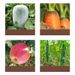 Multi Functional Peeling Knife For Household_maomaolike.com