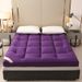 Thickened 10cm Feather Velvet Foldable Student Dormitory Single Tatami Bed Mattress Soft Cushion Wholesale_maomaolike.com