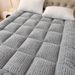 Cross-Border Thickened Warm Lamb Wool Student Dormitory Fleece Soft Cushion Winter Tatami Bed Mattress Pad_maomaolike.com