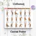 Seniors' Resistance Band Workout Painting Poster, Clear Cartoon-style Exercise Guide Poster, Detailed Gentle Fitness Instructions, Suitable For Home_maomaolike.com