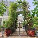 Metal Garden Arch With Gate 79.5'' Wide X 86.6'' High Climbing Plants Support Rose Arch Outdoor_maomaolike.com