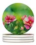 Iowa Wild Prairie Roses In Watercolor Large Sandstone Coasters Pack Of 4 Absorbent Round Coasters Decor Gifts For Men Or Women, 4 In, Multicolor_maomaolike.com