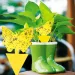 10-30PCS Yellow Non-Toxic Double-sided Sticky Traps Fly Paper Insect Glue Pest Control Catcher Flower Pot Gardening_maomaolike.com