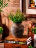 1pc West Asian Classical Style Ceramic Vase Large Capacity Refillable Water Flower Arrangement Vase Suitable For Multiple Scenes Ornament Vase_maomaolike.com