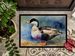 Common Eider Duck Doormat Front Door Mat Indoor Outdoor Rugs For Entryway, Non Slip Washable Low Pile, 24H X 36W_maomaolike.com