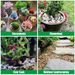 38lbs Decorative Garden Stone Outdoor Landscaping, Walkways, Yard, 1-3 Inch Large Polished River Rocks For Plants Pots, Vases, Crafts_maomaolike.com