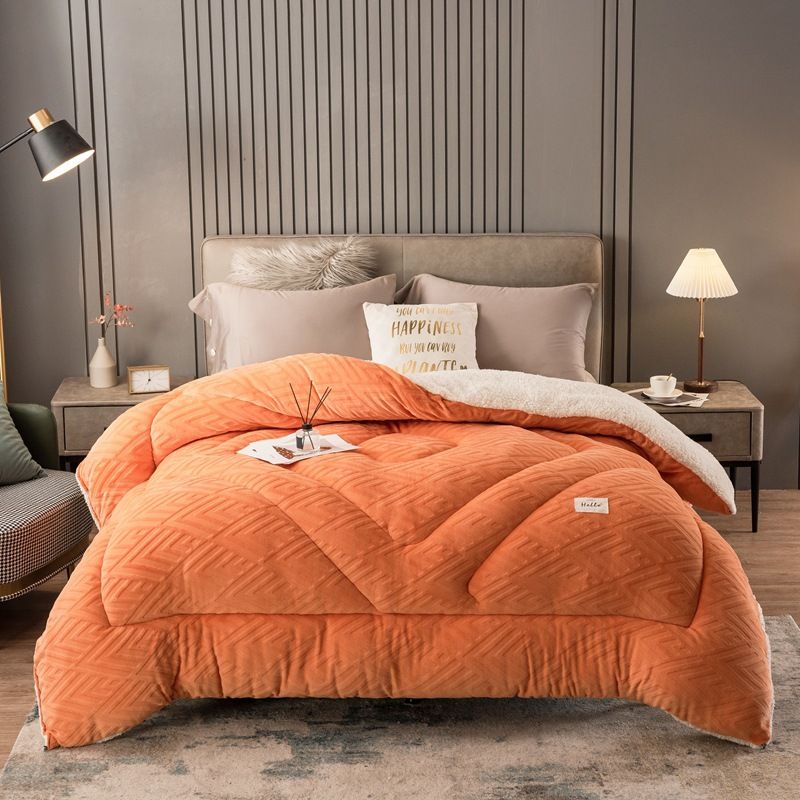 New Solid Color Thickened Milk Velvet Winter Patch Embroidery Home Double Warm Lamb Wool Quilt Core Trade Wholesale_maomaolike.com