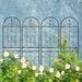4 Pack Metal Garden Trellis 71" X 19.7" Rustproof Trellis For Climbing Plants Outdoor Flower Support Black_maomaolike.com