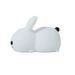 Colorful Rabbit Silicone Night Light Led Cute Charging Jade Rabbit Shooting Light_maomaolike.com