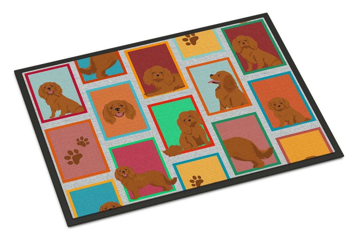 Lots Of Ruby Cavalier Spaniel Doormat Front Door Mat Indoor Outdoor Rugs For Entryway, Non Slip Washable Low Pile, 24H X 36W_maomaolike.com