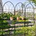 4 Pack Metal Garden Trellis 78.7" X 19.7" Rustproof Trellis For Climbing Plants Outdoor Flower Support Black_maomaolike.com