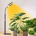 Led Lifting Angel Ring Plant Growth Lamp Micro Landscape Fill Light Succulent Flower Seedling Fill Light USB Type%_maomaolike.com