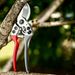 Steel Blade Garden Pruning Shears With Anti-slip Handle, Hand Trimming Tool For Fruit Trees, Vegetable And Plant Branch Cutting
_maomaolike.com