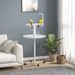 PawHut Bird Stand, Parrot Stand With Wheels, Perches, Stainless Steel Feed Bowls, Round Tray, Bird Play Stand For Indoor Outdoor, White_maomaolike.com