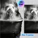 Leopard In Bathtub Painting Poster, Monochrome Retro Style Poster, Whimsical Steam-filled Design Brings Playful Touch For Bathroom Decor_maomaolike.com