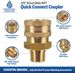 ESSENTIAL WASHER Brass 3/8" Female Quick Connect Fittings To Male NPT - Pressure Washer Couplers, 4200 PSI, 2 Pack_maomaolike.com