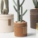 Nordic INS Ceramic Flower Succulent Plant Pot Modern Simple Personality Green Radish Rose Vintage Straight Cylinder_maomaolike.com