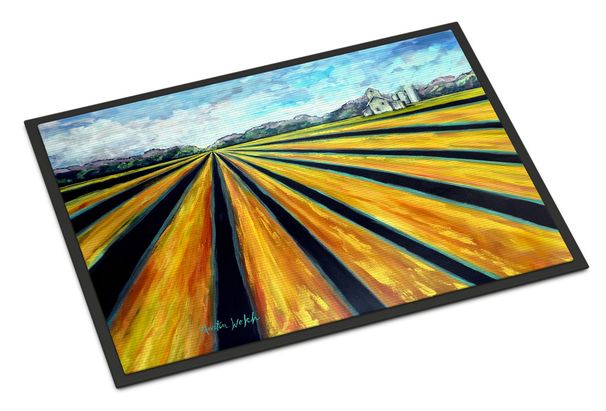 Silos Farm Land Doormat Front Door Mat Indoor Outdoor Rugs For Entryway, Non Slip Washable Low Pile, 24H X 36W_maomaolike.com
