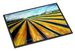 Silos Farm Land Doormat Front Door Mat Indoor Outdoor Rugs For Entryway, Non Slip Washable Low Pile, 24H X 36W_maomaolike.com